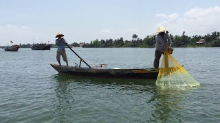 Throw Net Fishing Vietnam [upl. by Jayme87]