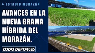 Avances en la nueva grama híbrida del Estadio Morazán y los otros estadios que tendrán nuevo campo [upl. by Eppilihp122]