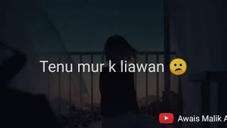 Mohabbat tujhe alvida Ost Whatsapp status  Afshan fawad [upl. by Mordy]