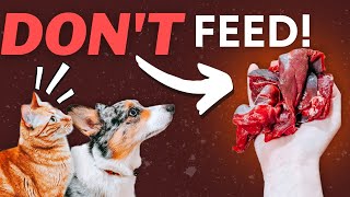 Meat You Shouldnt Feed Your Raw Fed Pet [upl. by Hyrup]