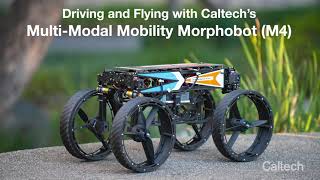 M4 Drives and Flies Around Caltechs Campus [upl. by Bilek]