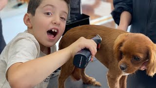 Dog Grooming for Kids  Pet Grooming for Kids  Learn how your dog is groomed at the Salon [upl. by Yehudit]