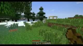 Minecraft Max Settings  Radeon 7450 [upl. by Aicined]