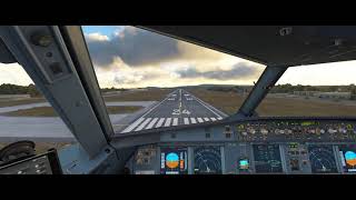 Approach amp Landing RWY24 LIRNNAP  Napoli flightsimulator [upl. by Guzel]