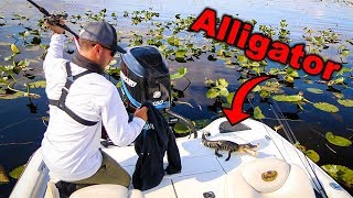 Accidentally Catching and Releasing ALLIGATOR Dangerous  Jiggin With Jordan [upl. by Cindee]