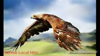 Joister wi mul Ambe  Kumdi Local Hits 2014 PNG Music [upl. by Ylak141]