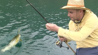 Pecanje pastrmke na varalicu na reci Trebišnjici  Fishing trout FULL VIDEO [upl. by Spanjian]