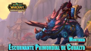 WOW Montaria Escornante Primordial de Cobalto OONDASTA [upl. by Verras452]