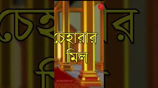 Cheharar Mil গল্পঃচেহারার মিল ।। Gopal Bhar  GolpoAlpoSolpo2 gopalbhar cartoon kidsstories [upl. by Kciredor]