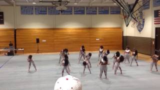 Silver Starlets Dance Team Senior Battle Squad of Washington DC Who Run The DMV competition [upl. by Caines]