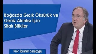 Boğazda Gıcık Öksürük ve Geniz Akıntısı İçin Şifalı Bitkiler  İbrahim Saraçoğlu [upl. by Bellina]