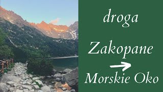 droga Zakopane Morskie Oko dojazd do wejścia na szlak [upl. by Ahsiled980]