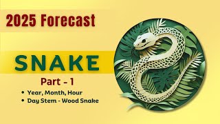 2025 Snake Zodiac Sign Part 1  Monthwise Forecast  Wood Snake Year  Alan Stirling [upl. by Asilla471]