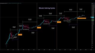 Bitcoin Halving Cycle [upl. by Maritsa524]