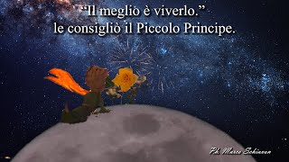 Il piccolo principe e la rosa [upl. by Wons]