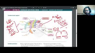 CNS PHYSIO amp ANATOMY PART8 CEREBRAL CORTEX REGIONS FIRST AID USMLE STEP1 URDUHINDI [upl. by Welby111]