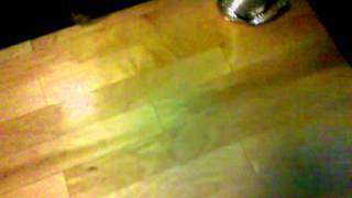 Hardwood Floor Crackling [upl. by Somerset]