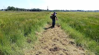 Mesin rumput di batas bendang Abang Jan Yan Kedah R87 [upl. by Oinotnas]