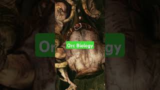 The Brutal Biology of Orcs Explained ⚔️🍄 [upl. by Nnylirej]