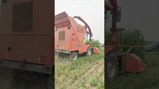 Forage harvesterMaize harvesterWheeled grass harvester [upl. by Blumenthal748]