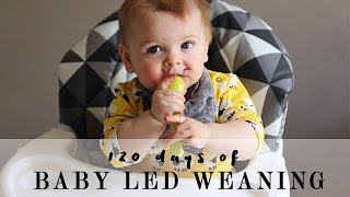 120 days of Baby Led Weaning [upl. by Ynaffet]