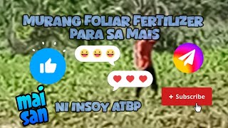 murang FOLIAR FERTILIZER para sa Mais [upl. by Attener95]