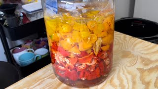 Fermented Louisiana Style Hot Sauce Recipe [upl. by Farlie]