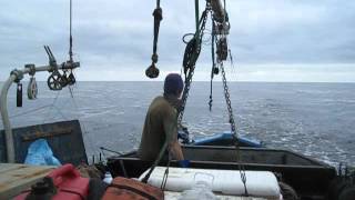 Albacore tuna fishing [upl. by Resneps327]