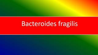 bacteroides fragilis [upl. by Haidabej364]