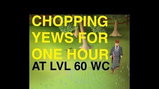 OSRS quotChopping Yew Trees For One Hourquot  At Lvl 60 Woodcutting [upl. by Marla769]