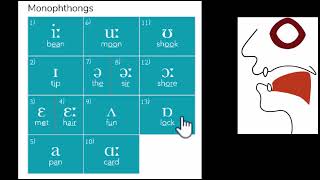 IPA chart with mouth positions  Fricatives Plosives Affricates Approximants  Tune Your English [upl. by Anitsirhcairam]