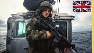 Review of All British Armed Forces Equipment  Quantity of All Equipment [upl. by Eniluap848]