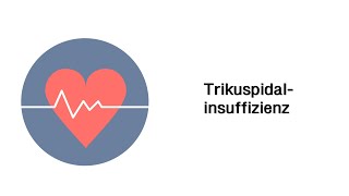 Trikuspidalinsuffizienz  Erkrankungen des Herzens mit Infoleiste [upl. by Yelwah]