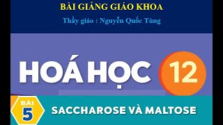 Bài 5 hóa học 12 Saccharose và Maltose Chào Thầy Tùng [upl. by Ellevehs]