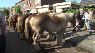 Paardenmarkt Rijnsburg 2015  RTV Katwijk [upl. by Koloski]