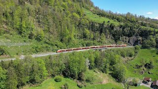 Der Treno Gottardo in Zürich HB und vor ArthGoldau [upl. by Lalittah]