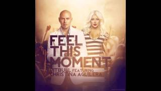 Feel This Moment Official Instrumental  Pitbull feat Christina Aguilera [upl. by Woolson866]