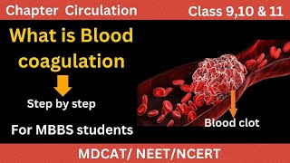 What is Blood clotting A to Z details  Blood coagulation cascade [upl. by Wilhelmina168]