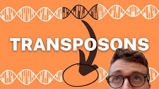 TRANSPOSONS EXPLAINED 1 Minute Explanation [upl. by Nyasuh940]