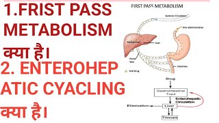 FRIST PASS METABOLISM क्या है।ENTEROHEPATIC CYCLING क्या है।PHARMACOKINETICSPHARMACOLOGYVIDEOS [upl. by Fusuy]