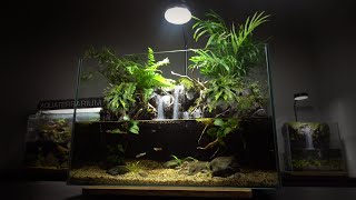 Setup Guppy Fish Aquaterrarium l Use Plastic Kettle to make aquarium l movable plants [upl. by Hibben]