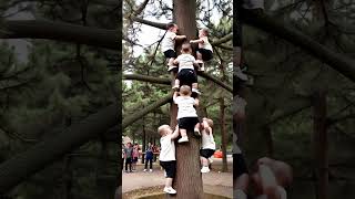 Multiple babies are trained to climb trees The healing smiles of human cubs The carefree childho [upl. by Adiari514]