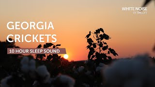 Georgia Summer Evening Crickets amp Katydids  10 Hours Sleep Sound  Black Screen [upl. by Burgess]