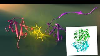 Protein test biuret test biuret principle [upl. by Bael]