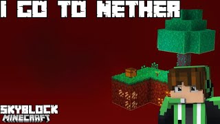 I go to nether world skyblock minecraft [upl. by Hamal962]