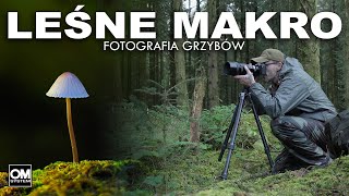 LEŚNE MAKRO  Fotografia Grzybów  Dzika Irlandia  OM System OM1  Fotografia Przyrodnicza [upl. by Mishaan]