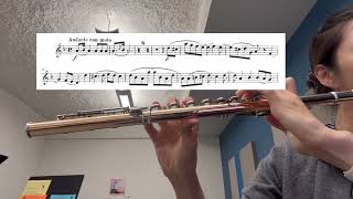 91324 practice log Mendelssohn Italian Symphony second mvt second flute excerpt [upl. by Pierro]