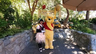 I as Bloom the Ballerina Bug meets Winnie the Pooh in Disneyland 2024 [upl. by Aikat138]