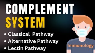 Complement system pathways in immunology Animation  Classical Alternative amp Lectin pathways [upl. by Carver]