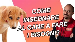 Come insegnare al cane a fare i bisogni  Cinofilia Facile [upl. by Zetana995]